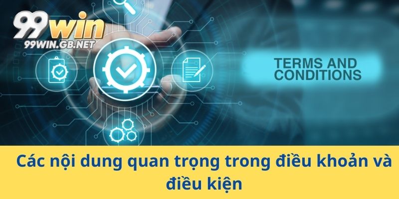 Các nội dung quan trọng trong điều khoản và điều kiện