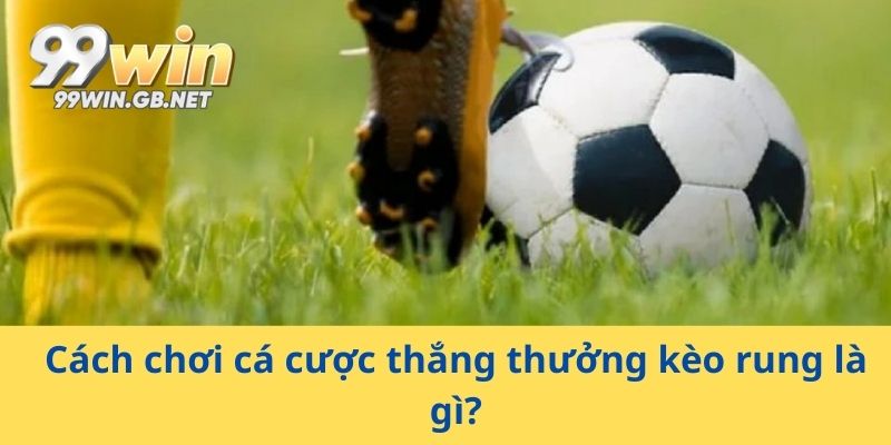 Cách chơi cá cược thắng thưởng kèo rung là gì?