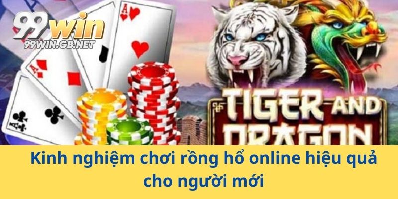 Kinh nghiệm chơi rồng hổ online hiệu quả cho người mới